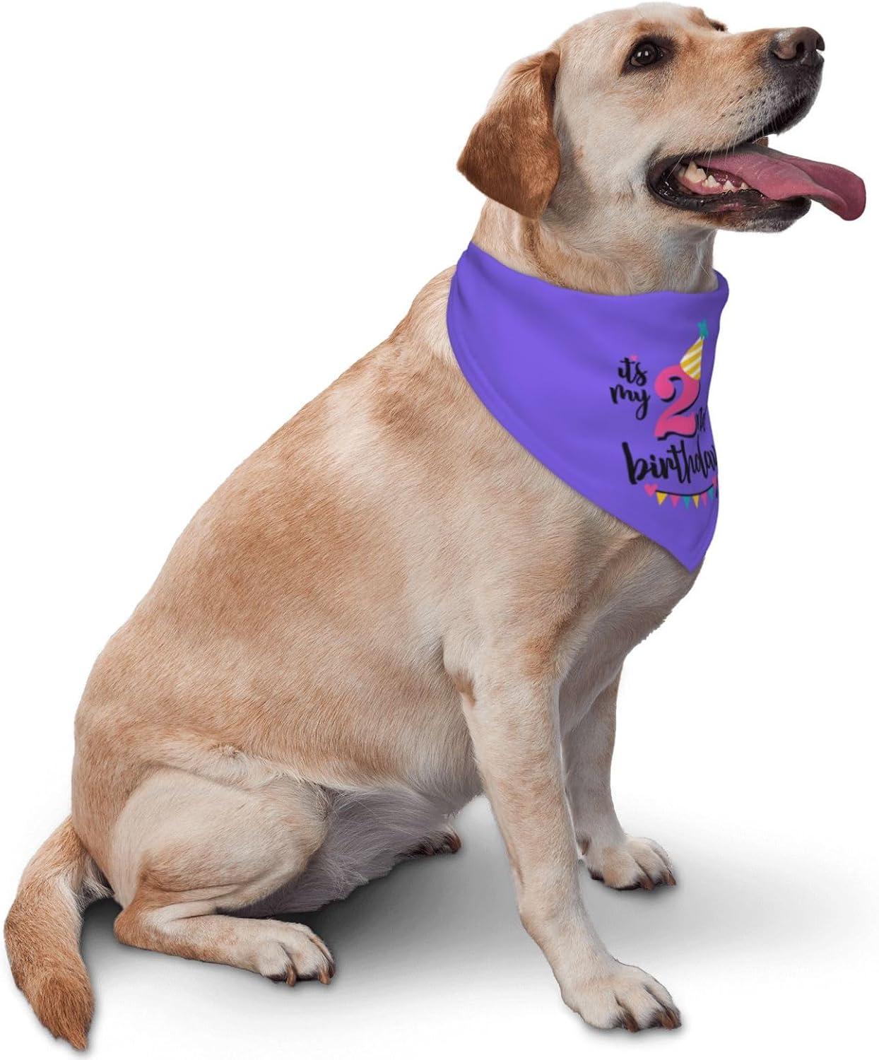 2nd Birthday Dog Birthday Bandana,Dog Birthday Party Supplies,Dog Puppy Birthday Bandana,Triangle Scarf for Pet Dog Puppy Pet Scarf Accessories (Purple) image 2