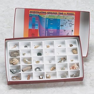 American Scientific Advanced Fossil Collection