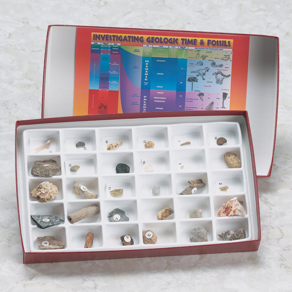 American Scientific Advanced Fossil Collection