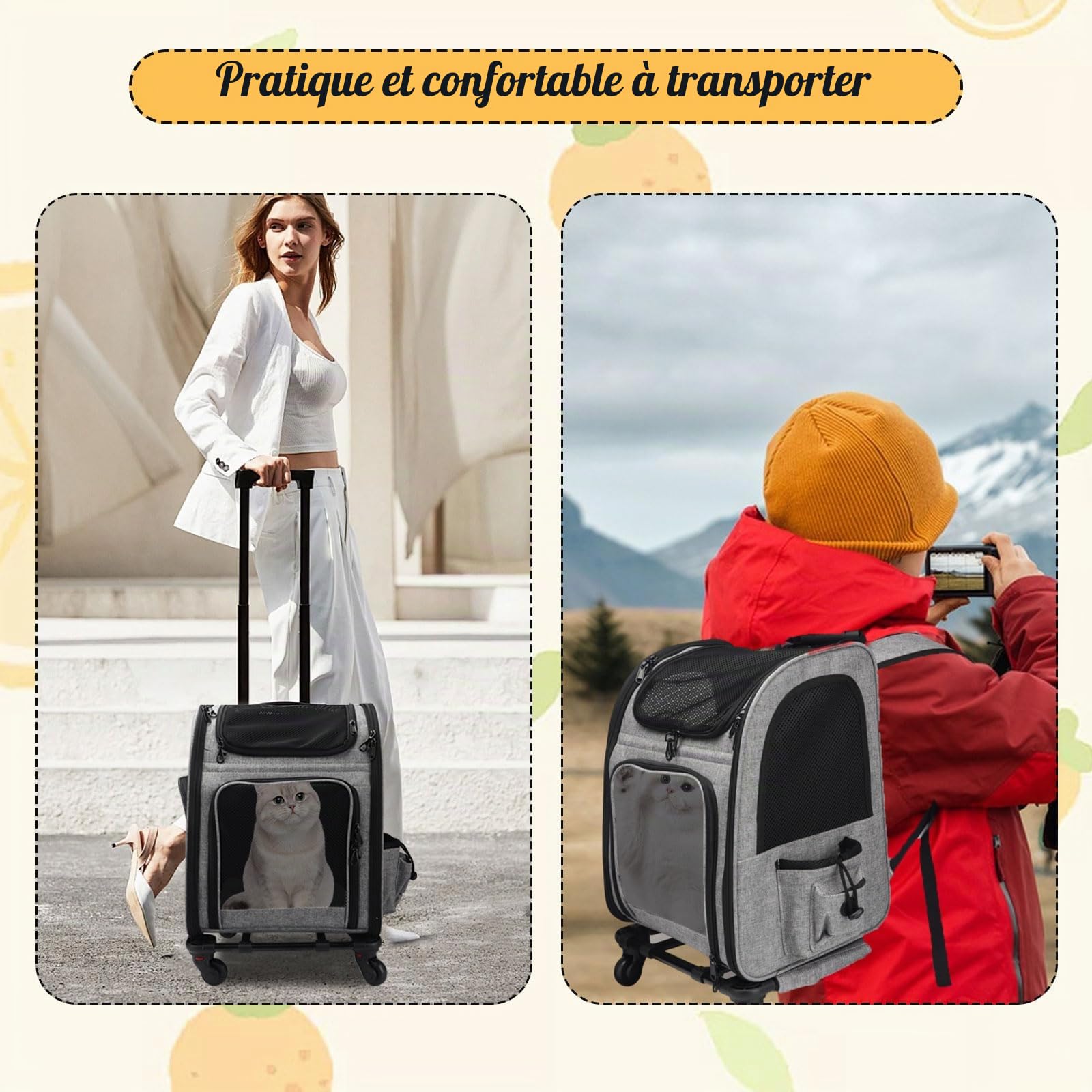 Sac à dos chat transport, transport chat, roues de transport, sac à dos pour chiens avec roues, convient pour chiens et chats jusqu'à 15 kg, idéal pour les promenades, les voyages et les visites chez