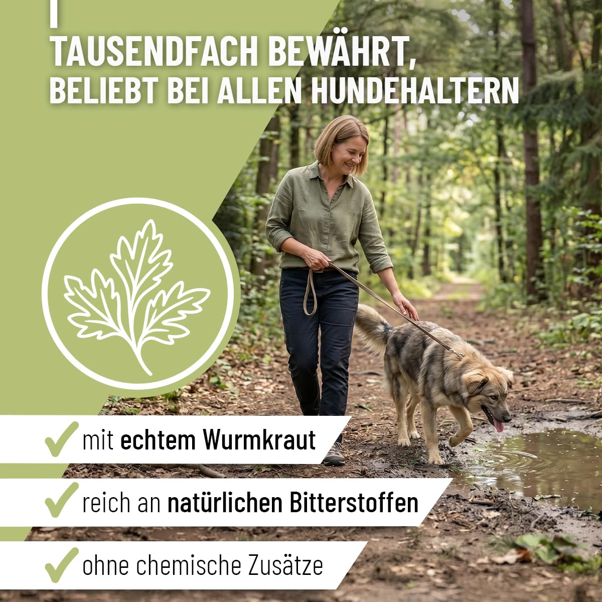 ReaVET Lot de 50 gélules d'herbes vermifuges secondaires pour chiens - Formule naturelle végétale - Vermifuge secondaire - Sans anthelminthique