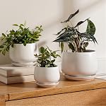 LE TAUCI Pots de plantes pour plantes d'intérieur, ensemble de 3, 4+5+6.5 Pots de céramique avec trou de drainage & Sauceur, Pot de fleurs intérieur avec Pad de Mesh, Pot Plante Interieur, Glace Réactive Beige