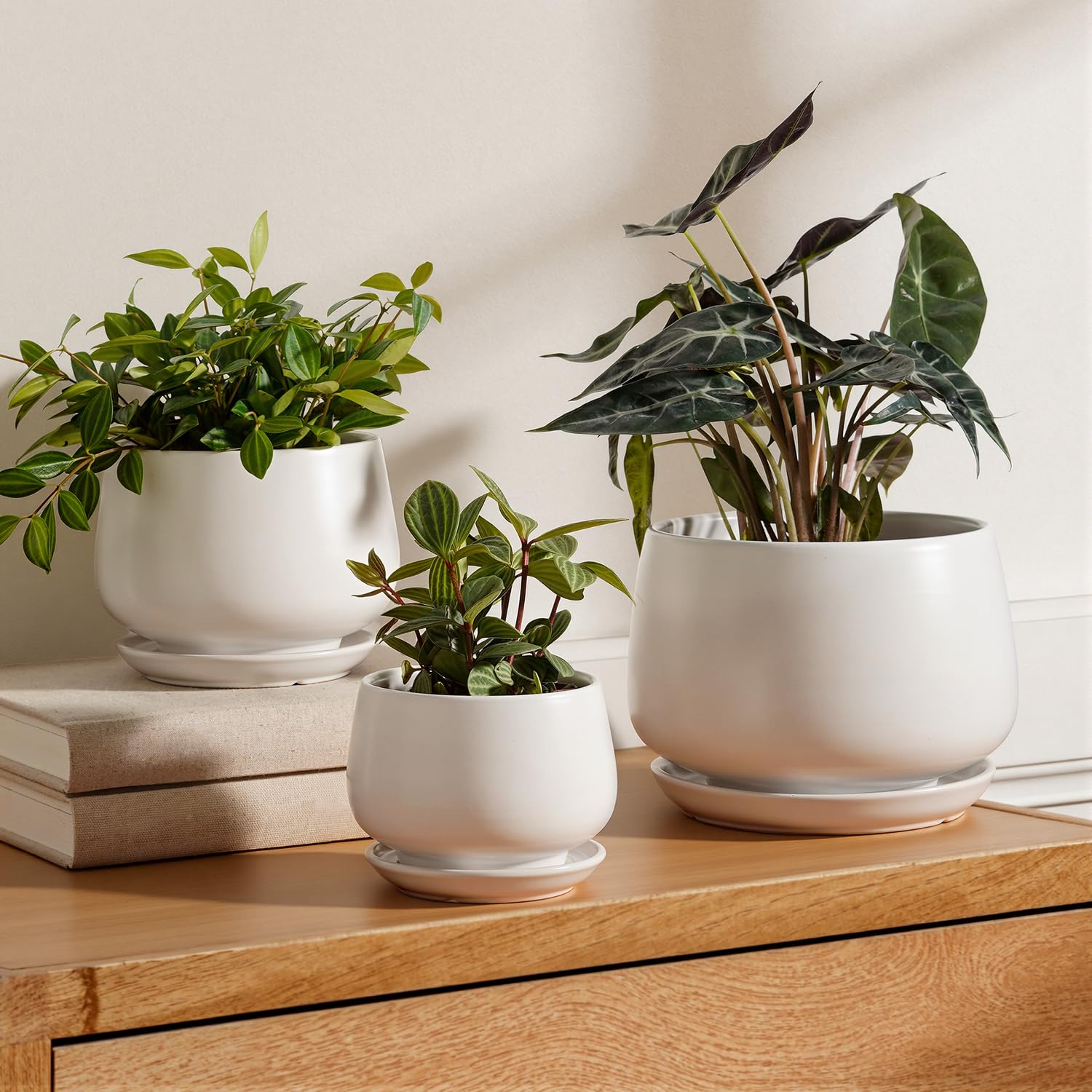 Amazon.com: LE TAUCI Ceramic Plant Pots, 4.1+5.1+6.5 inch, Set of 3,  Planters with Drainage Hole and Saucer, Indoor Flower Pot with Hole Mesh  Pad, Gifts for Mom, White : Patio, Lawn & Garden