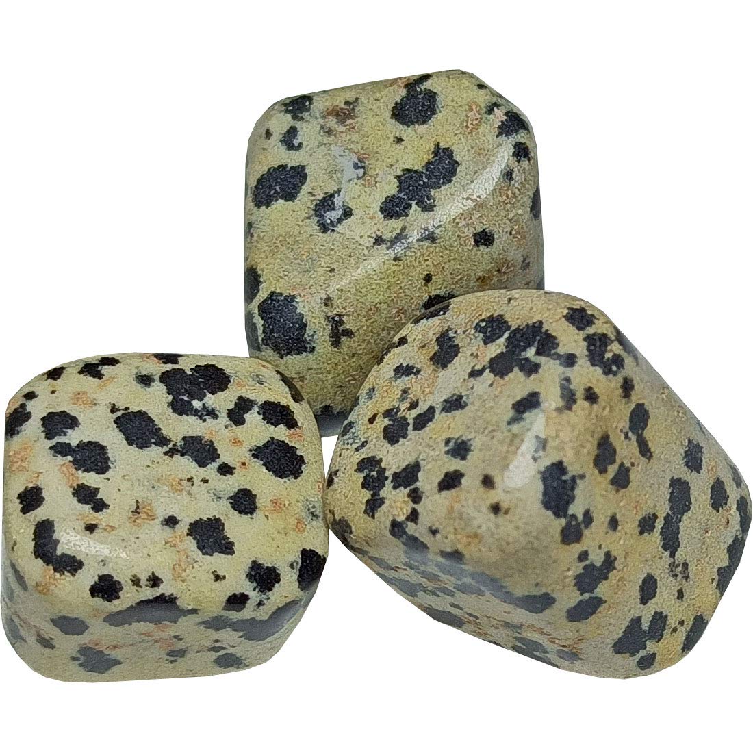 Aldomin Dalmatian Jasper Natural Multi Color Polished Tumble Stone (Pack Of 3 Pc) (B08FC4S2WT) Amazon Price History, Amazon Price Tracker