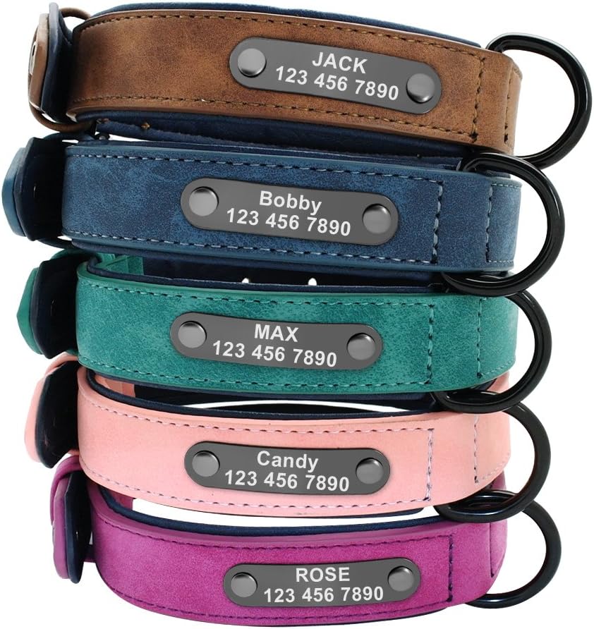 Didog Custom Leather Dog Collars with Personalized Engraving Nameplate