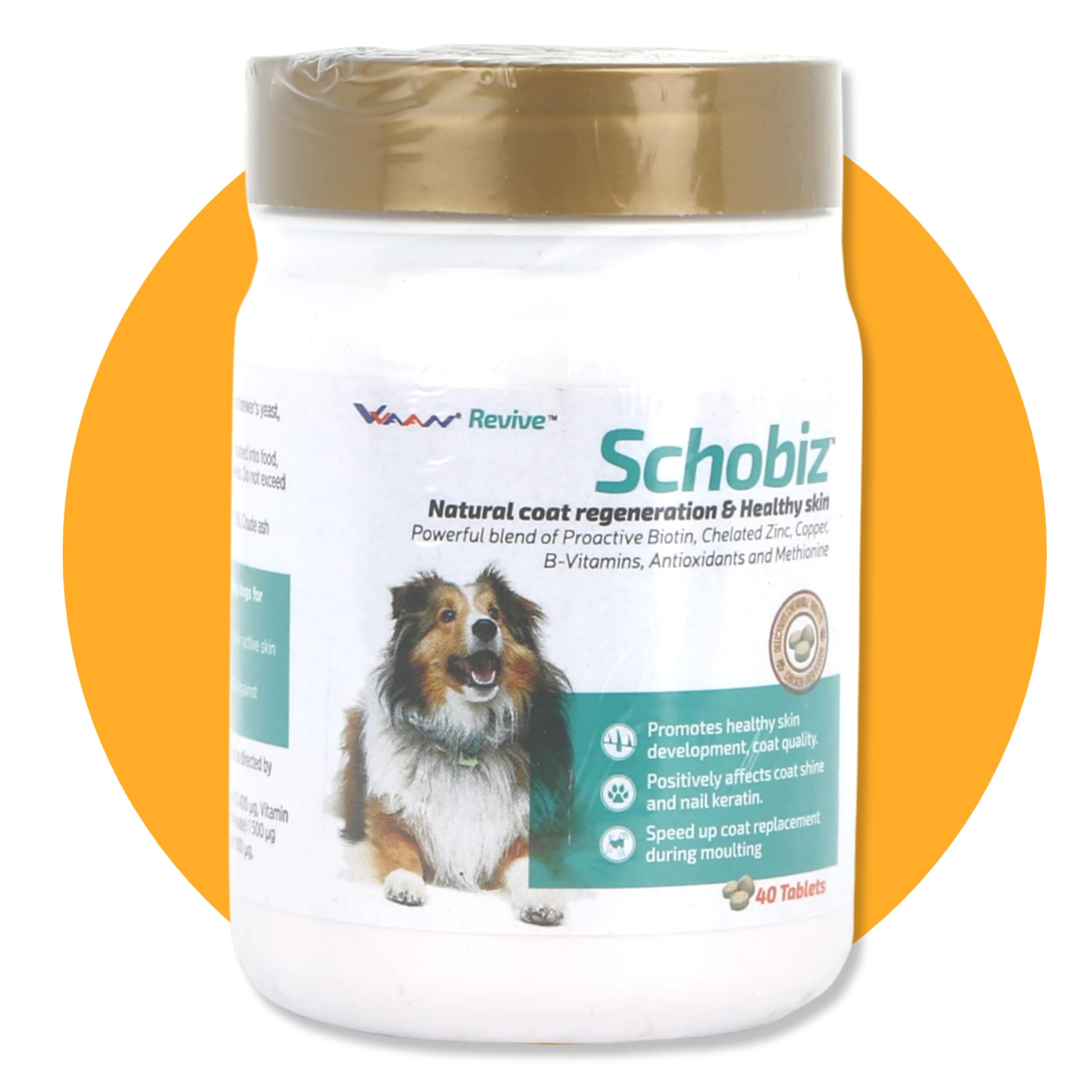 Vvaan Schobiz Natural Coat Regeneration & Healthy Skin 40 Tablets, Skin and Coat Recovery Formula for Long Hair Dogs, White Dogs, Moulting DogsWhite (SCH-40TB) (B0C9TW2MS5) Amazon Price History, Amazon Price Tracker