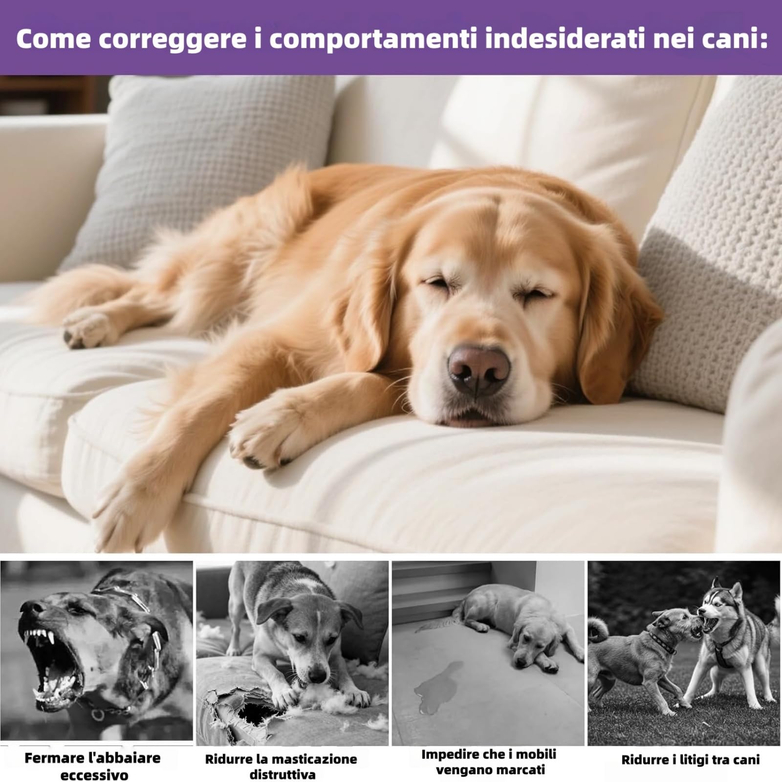 MEIION Ormeo Pet Diffusore,Diffusore Calmante per Cani,Feromoni Antistress,Aiuta i Cani Ansiosi a Rilassarsi,Facile da Usare,Adatto per Situazioni di Stress