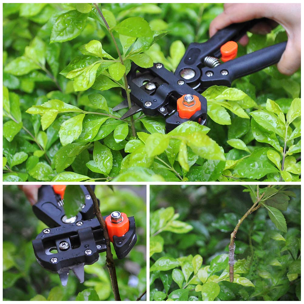 Kit di Utensili per innesto e potatura 2 in 1, Professionale per innesto da Giardino, potatura, Forbici per Piante, Rami, Rami, Viti, Alberi da frutto, cesoie p