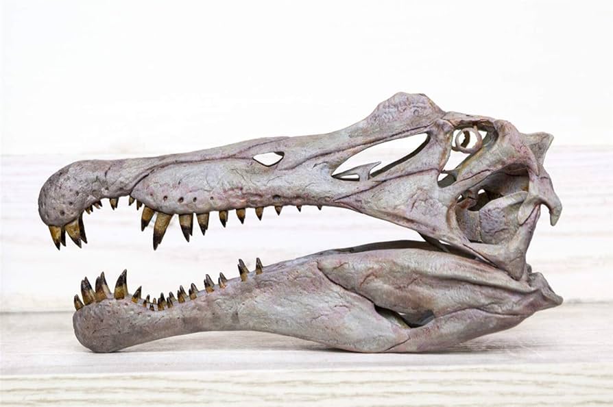 Amazon.co.jp: Lana Toys VWUVWU 110 スピノサウルスヘッド スケルトン Amazon.co.jp: Lana Toys VWUVWU 110 スピノサウルスヘッド スケルトン