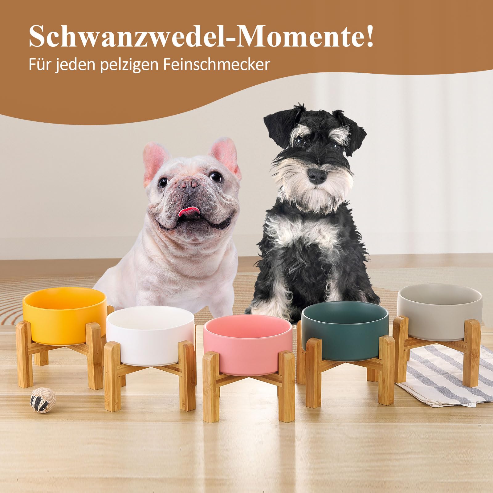 Keramik Erhöhter hundenapf Set futternapf fressnapf Hund Katze wassernapf Napf katzennäpf für Hunde Katzen ständer mit hoch futterstation Napfset