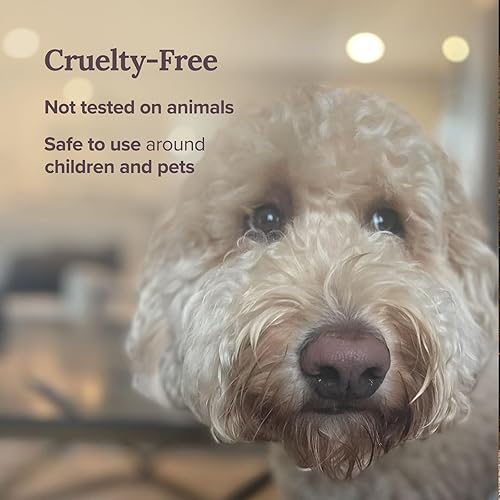 Miniatura 5 de Magnificent 101 Love Struck - Vela de lata de aromaterapia 6 onzas 35 horas de combustión Cera de soja totalmente natural con rosa salvia,