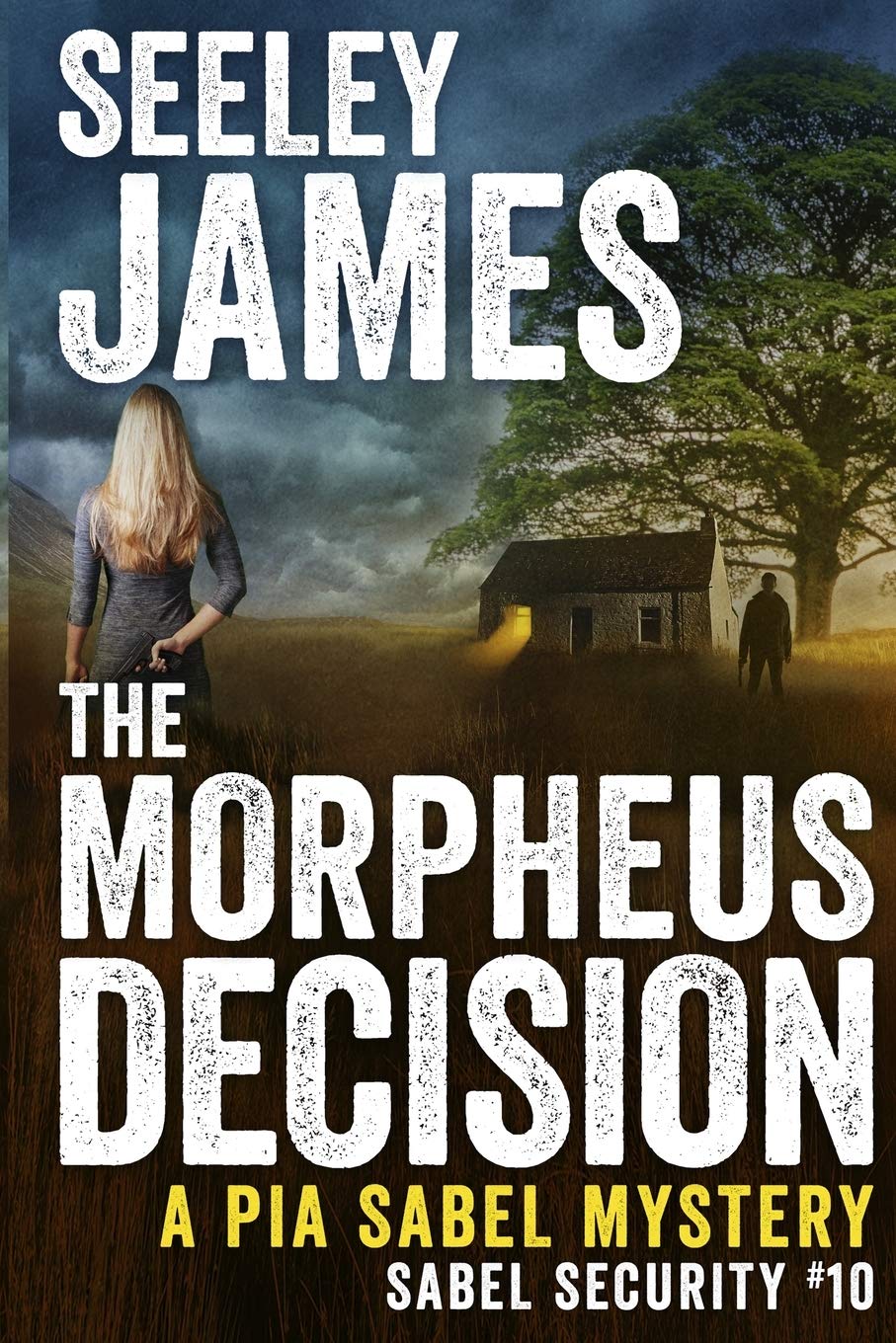Buy The Morpheus Decision: A Pia Sabel Mystery: 10 (Sabel Security) — BookShops.in