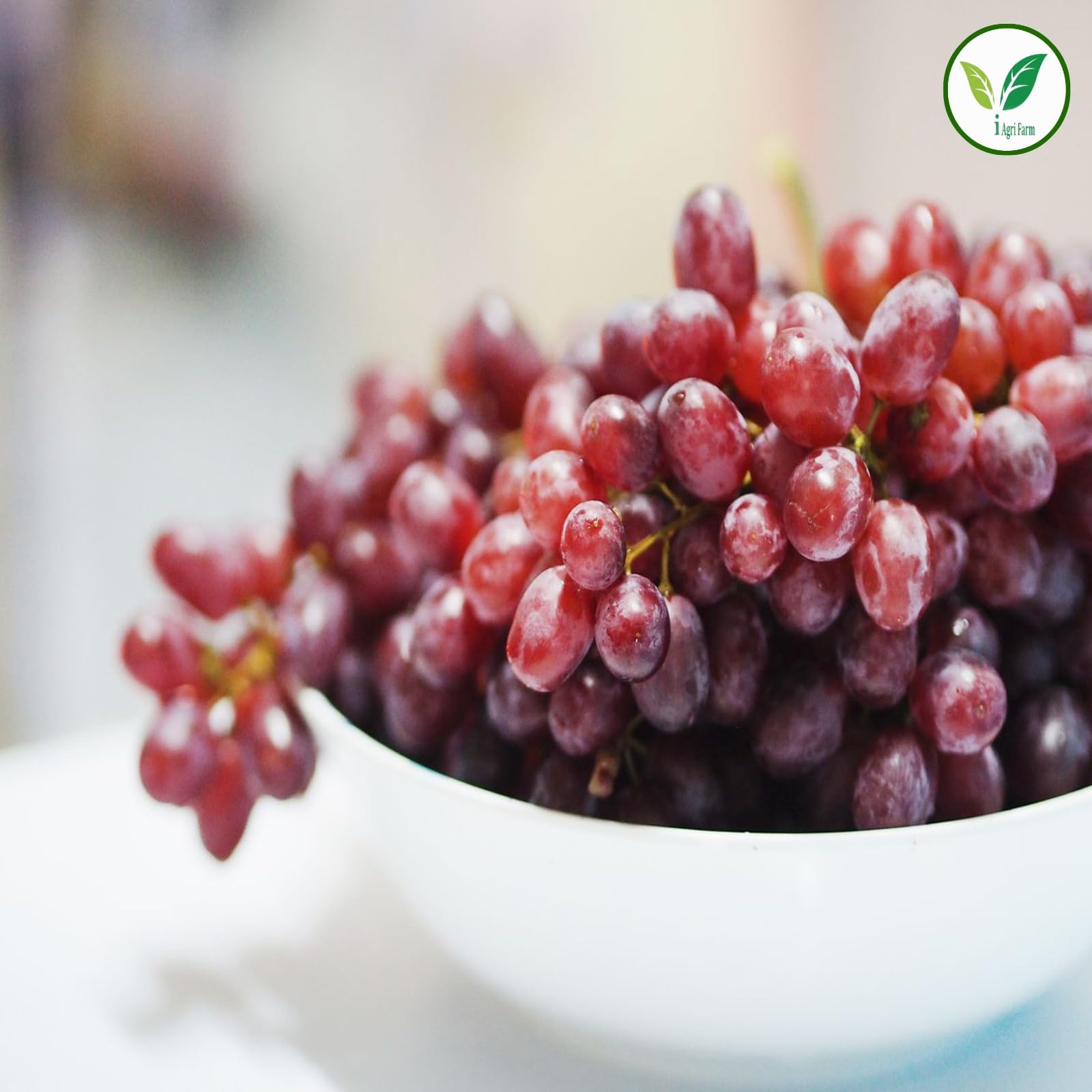 Iagrifarm Black Grape Seeds - 250 gram/Angur Beej/Grape Seed - Image 7 thumbnail