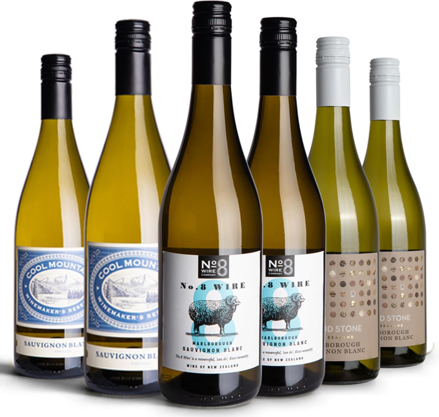 The Wine Flyer Sauvignon Blanc Case of 675cl Bottles, 2 x Cool