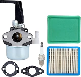 Hipa 696065 Carburetor 491588S Air Filter Tune Up Kit Fit for Brigs & Straton 110402 110412 6HP 6.5HP 5HP 5.5HP 7HP Engine Tiller Generator Intek Motor Pressure Washer Replace 215369 697422 Carb