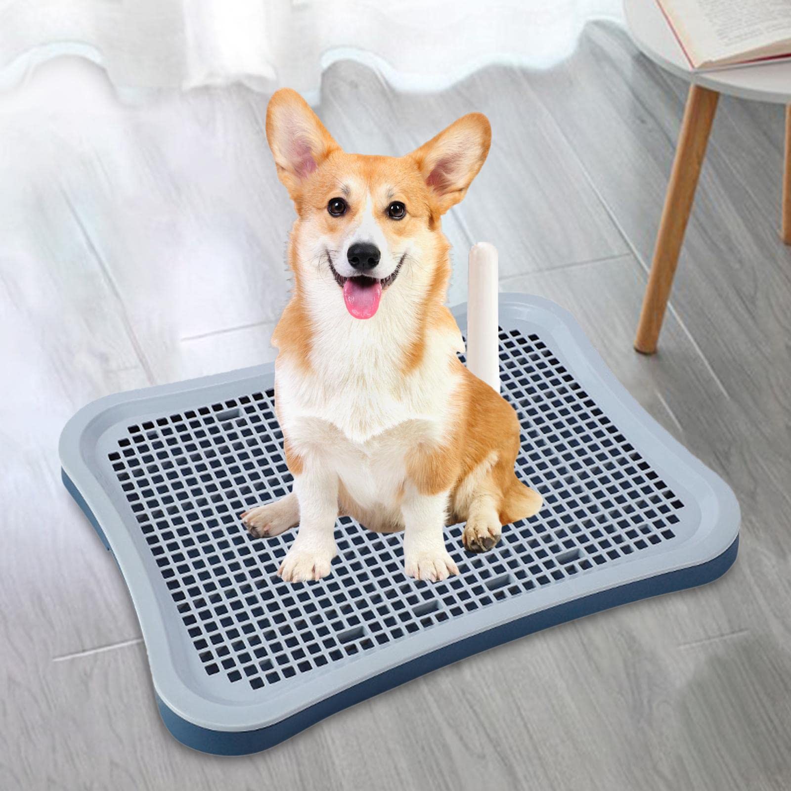 Sharplace Haustier-Katzen-Trainingstoiletten-Tablett, Töpfchen-Trainer, leicht zu reinigen, Katzenstreu, Bettkasten, Urinal, Hunde-Töpfchen-Tablett, PIPI-Pad, Cyan