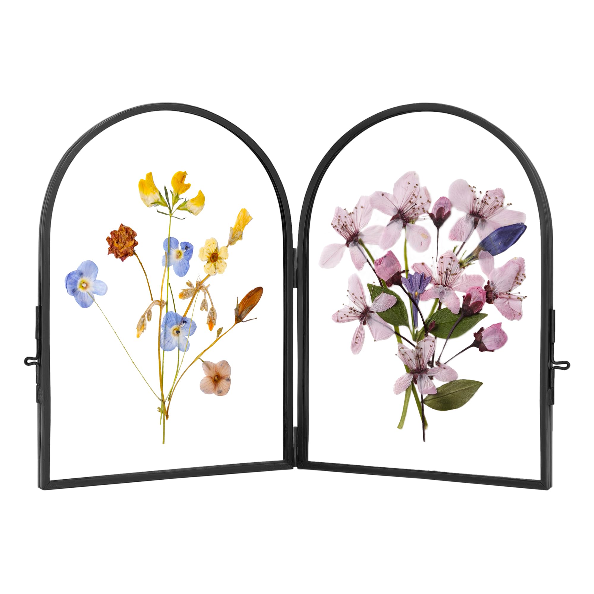 REDHUGODouble Glass Frame for Pressed Flowers Handmade, Pressed Flower Frame, Hinged Tabletop Brass Photo Frames, Dried Flower Display Folding Picture Frame for Home, ArcShaped, Black, 4×6 Inches
