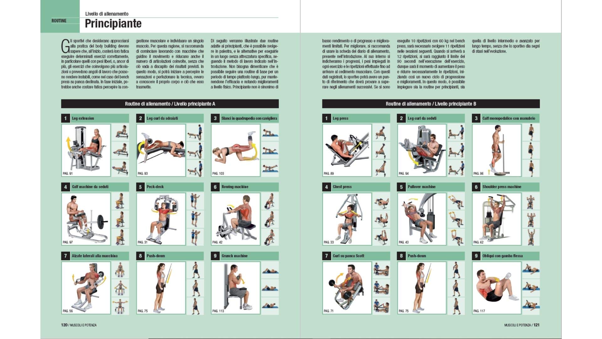 Muscoli e potenza. 84 esercizi con tavole anatomiche
