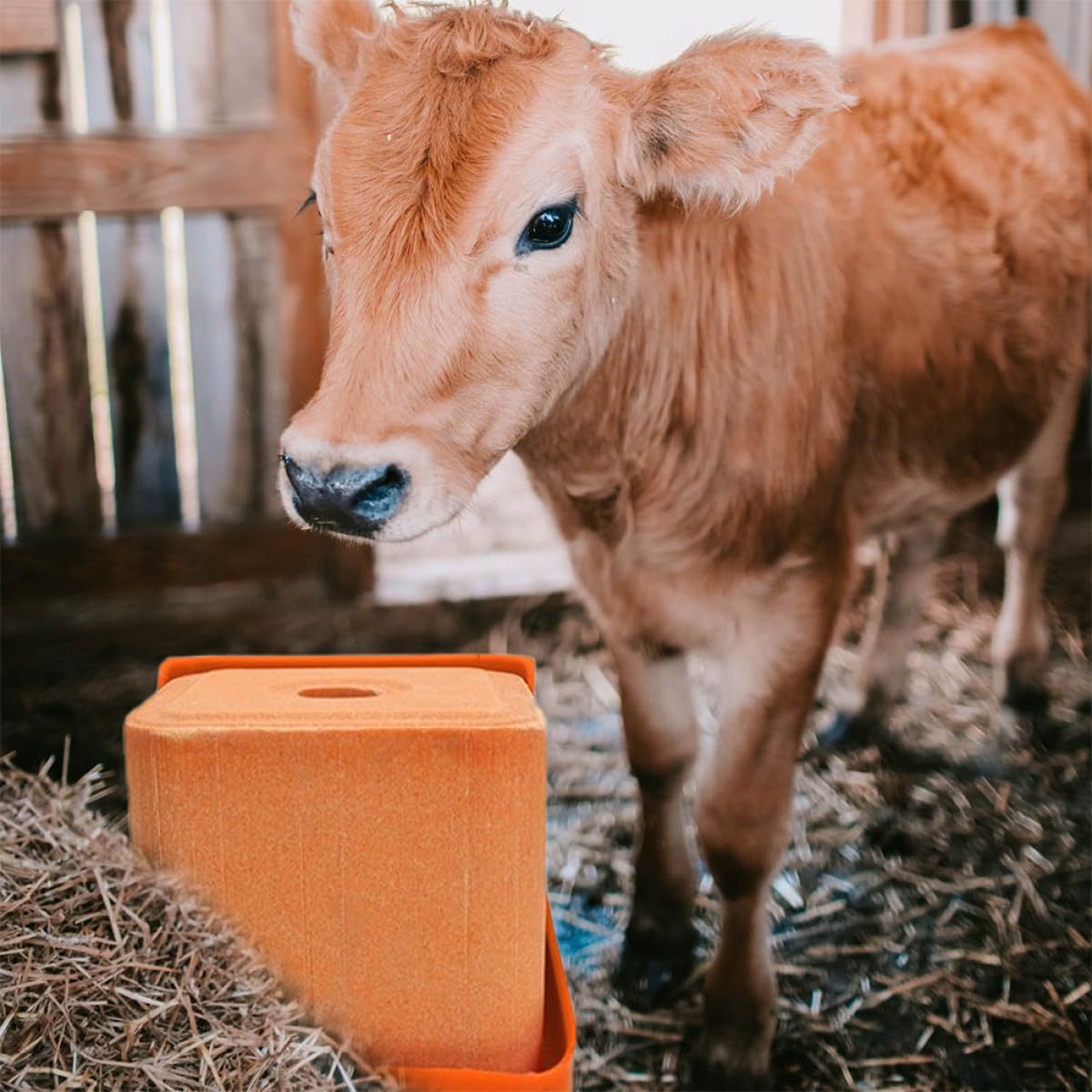Artibetter Distributeur de Sel pour Moutons et Bétail 2 Pièces en Pe Épaissi, Support Robuste Cylindrique pour Bloc Minéral, pour Élevage Agricole Style Aléatoire