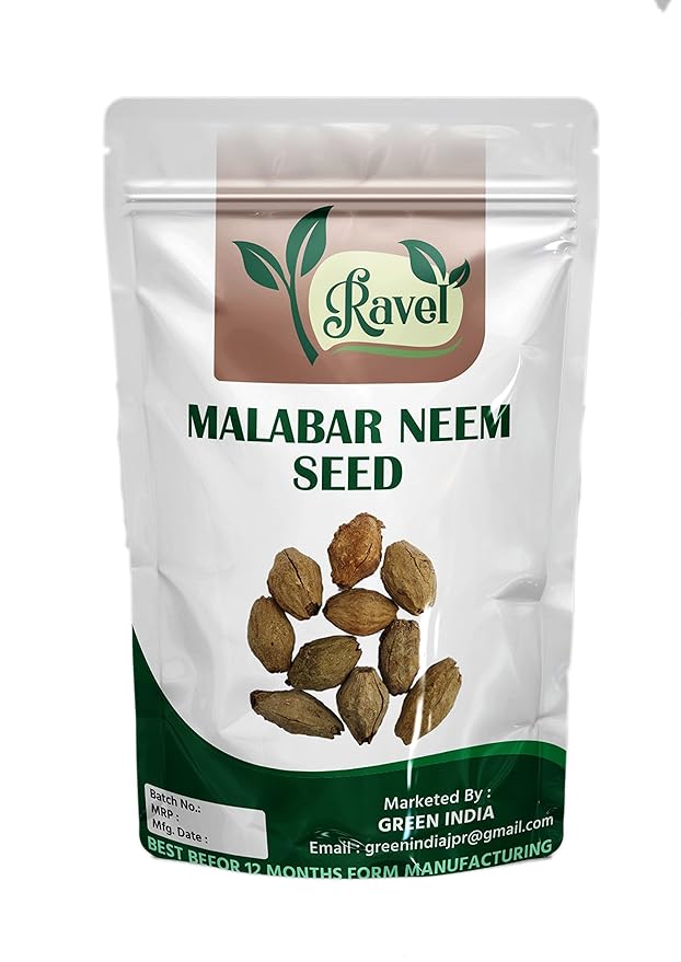 Ravel Melia Dubia Seeds 1kg Malabar Neem Tree Seeds Amazon.in