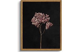 VIYYIEA Framed Vintage Floral Wall Art Prints-Botanical Canvas Painting