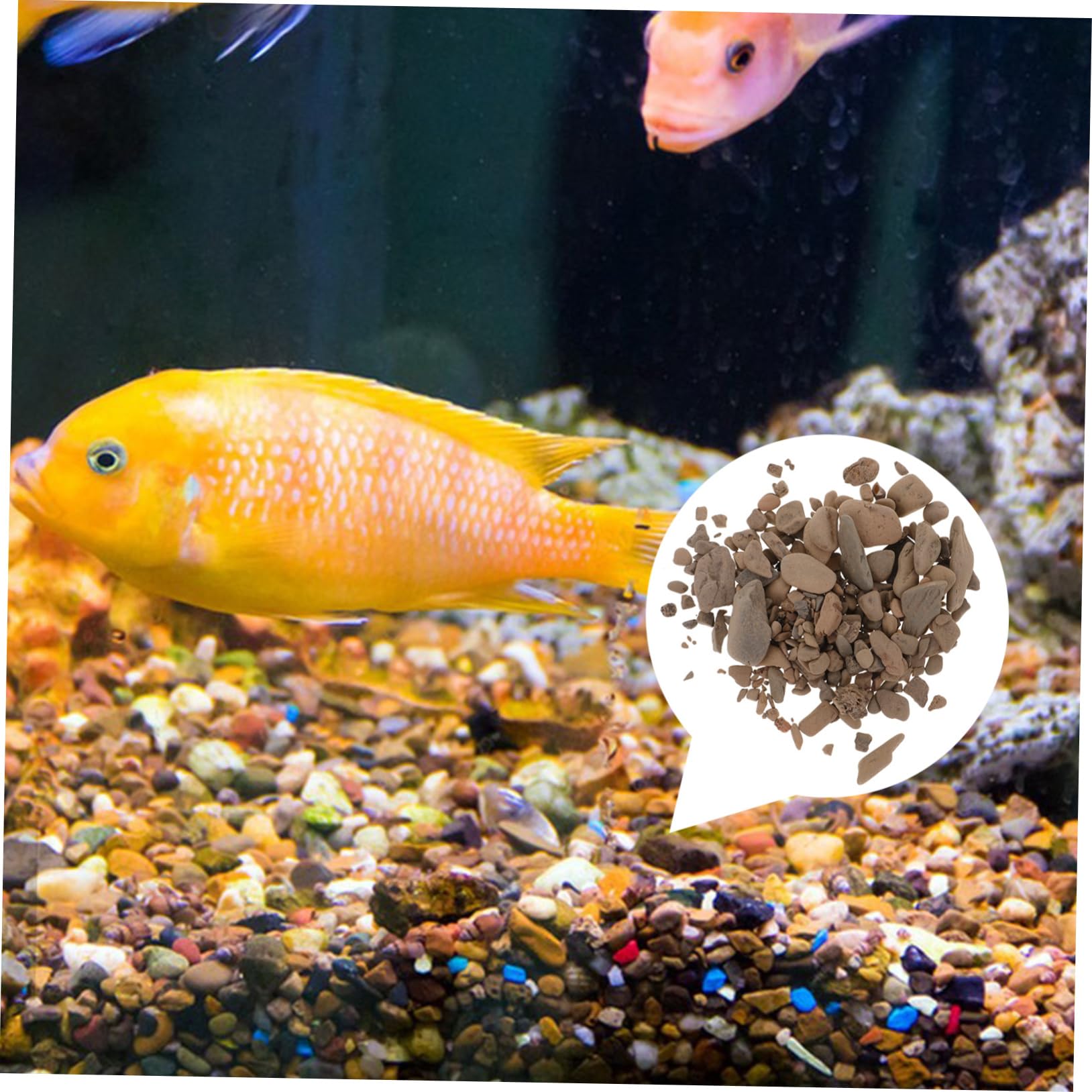 Toddmomy Vase Décoratif Naturelles Pour Aquarium Gravier Pour Poissons Et Plantes Décoration De Réservoir De Sable De