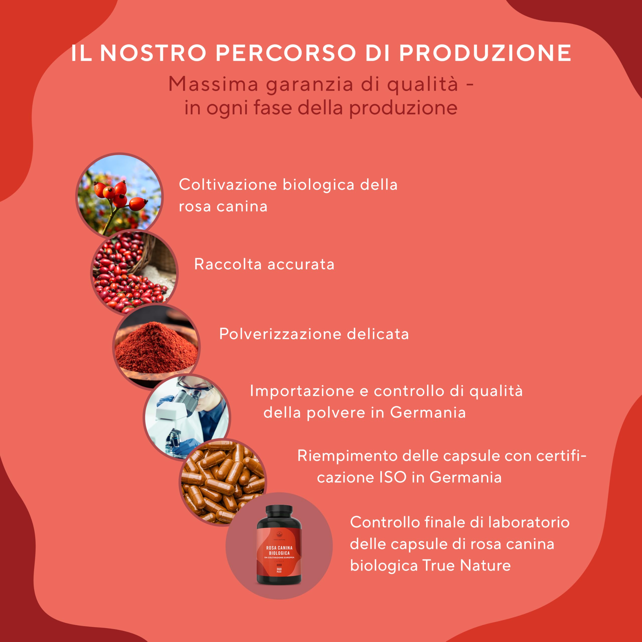 Rosa Canina Biologica - 3900 mg di dosaggio elevato - 360 Capsule (650 mg di polvere di rosa canina) - Vegan, senza glutine e senza lattosio - Testato in laboratorio - TRUE NATURE®