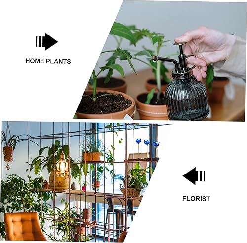 Miniatura 8 de 4pcs dispensador sembrador herramienta