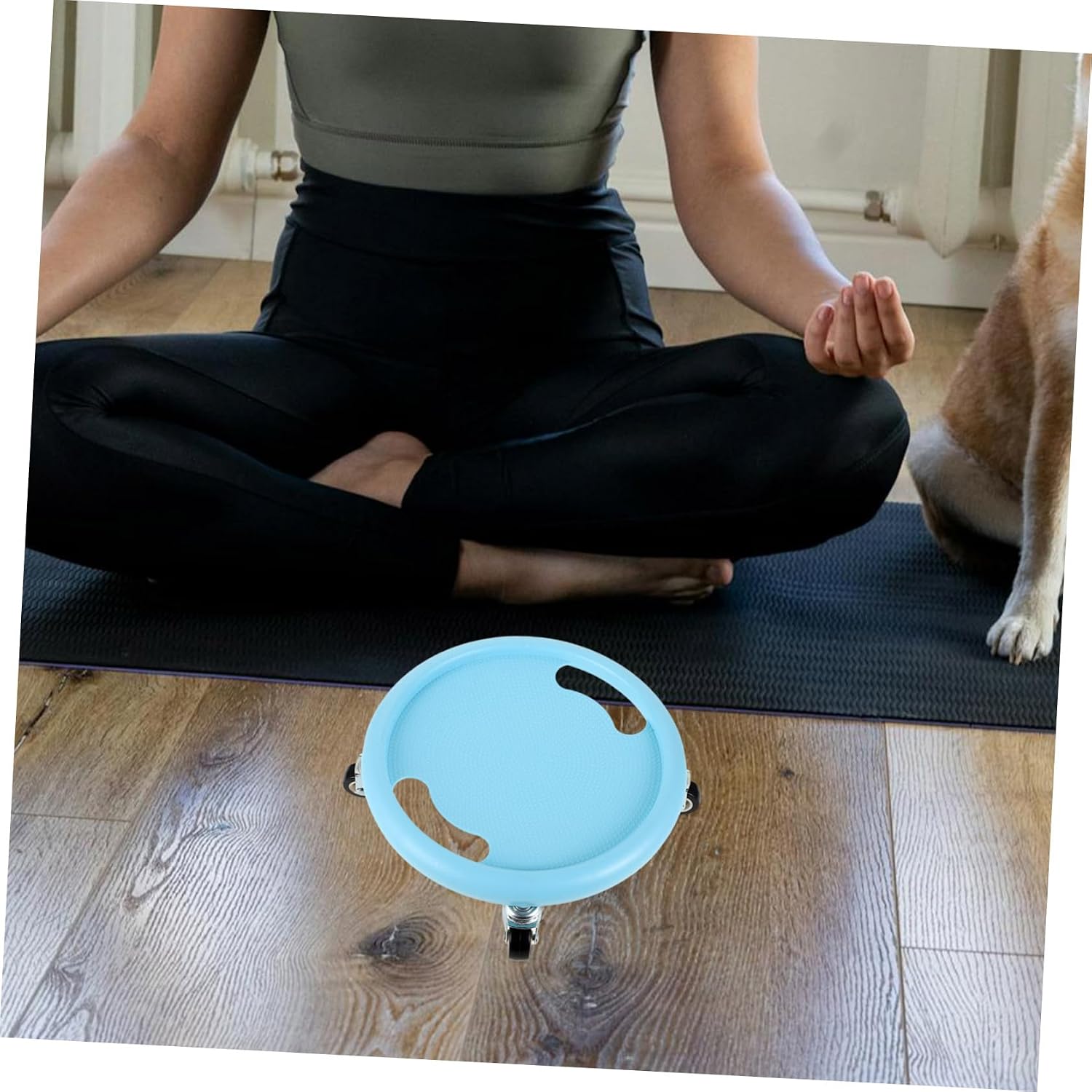 GANAZONO Abdominal Disc for Workout Sliders Fitness Equipment Sliding Plate Abdominal Exercise Sliding Disc
