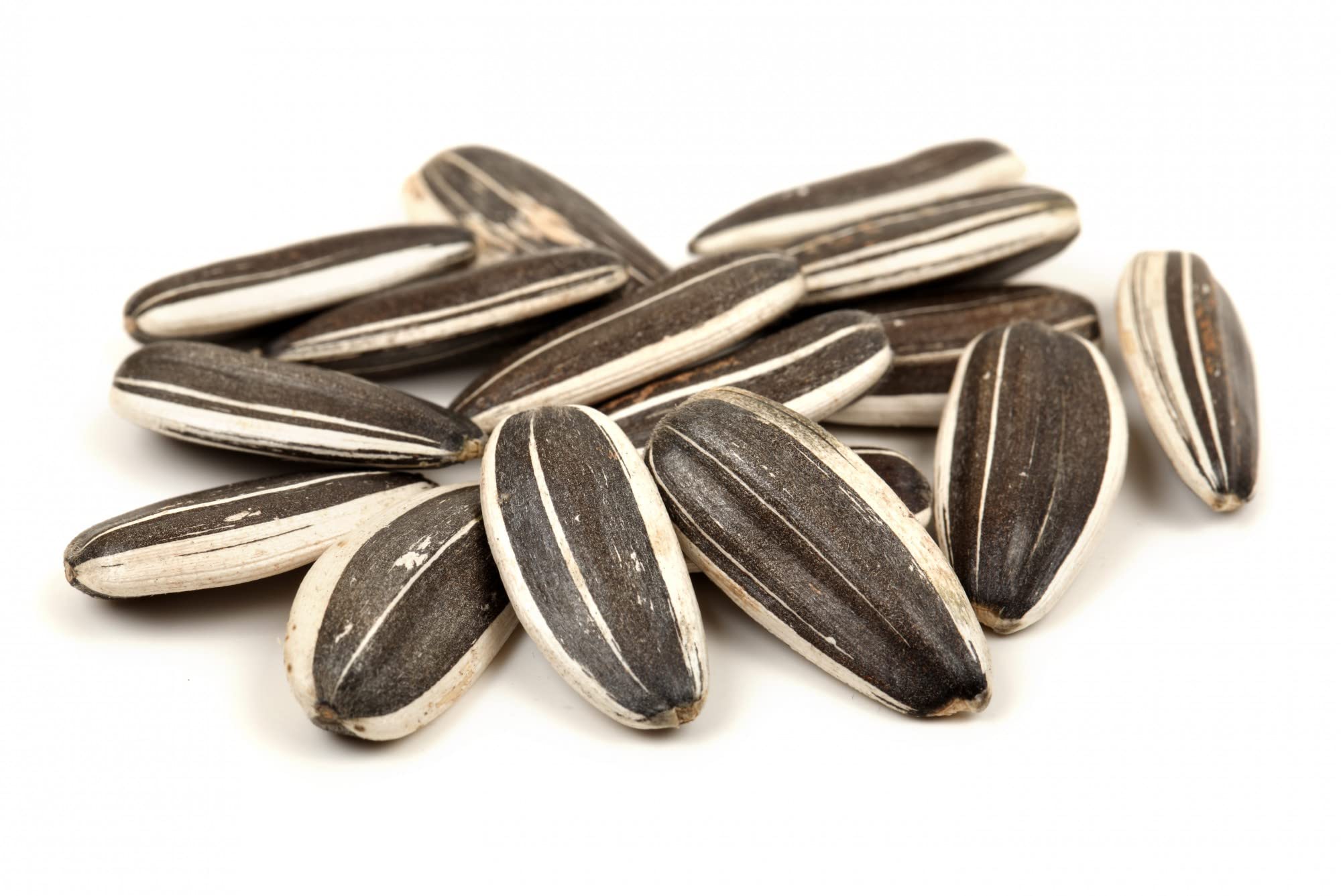 GOGI Sunflower Seeds for Birds 1 KG-picture-15