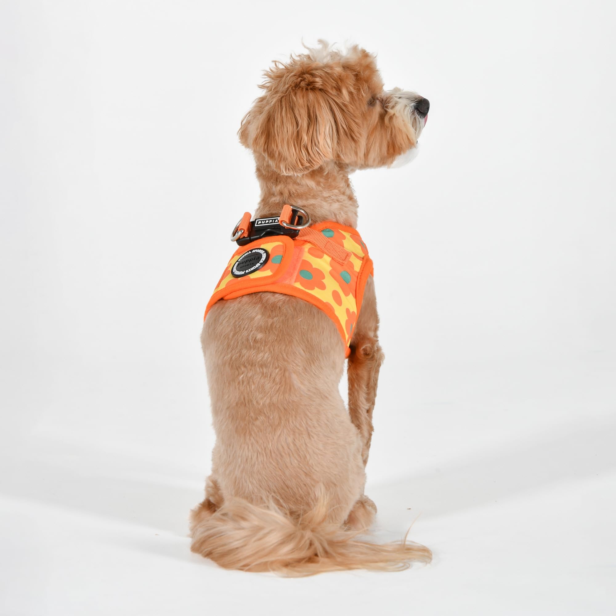 Puppia Bacopas - Arnés de chaleco B (Step-in) con patrón de flores de moda, arnés para primavera y verano para perros pequeños y medianos, naranja, pequeño