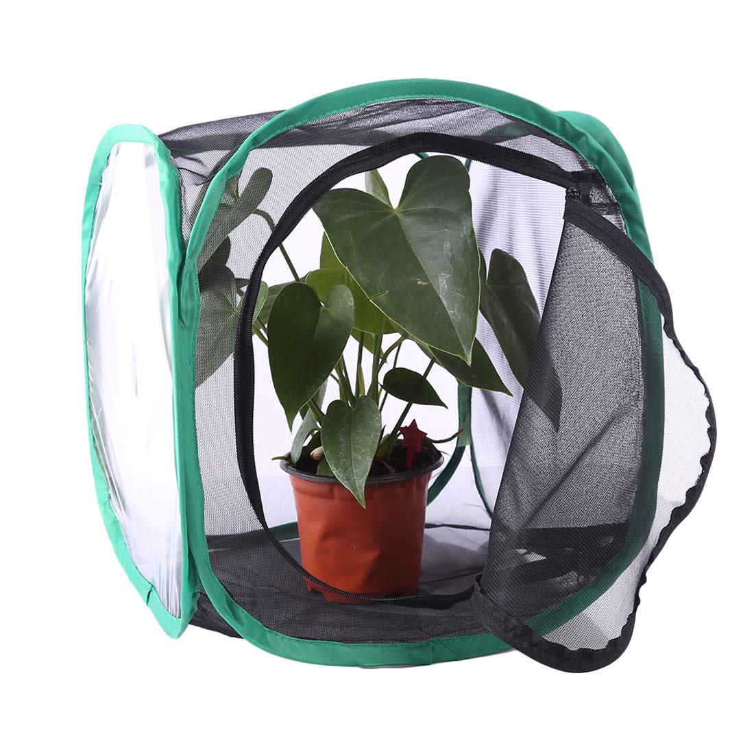 Insekten- & Schmetterlings-Netzkafig - Zusammenklappbar, Transparent, Mit Grünem Rand