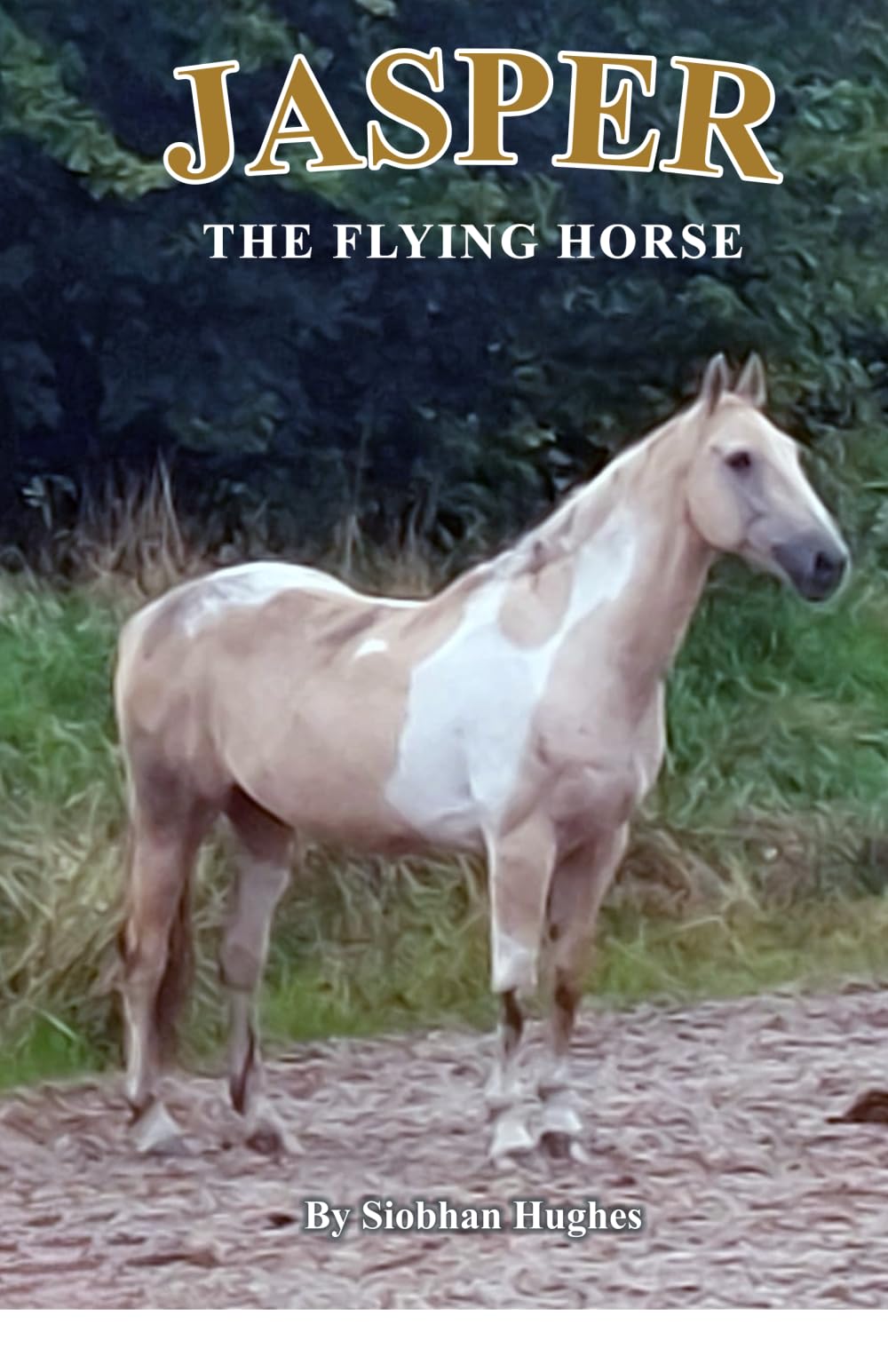 Jasper the Flying Horse