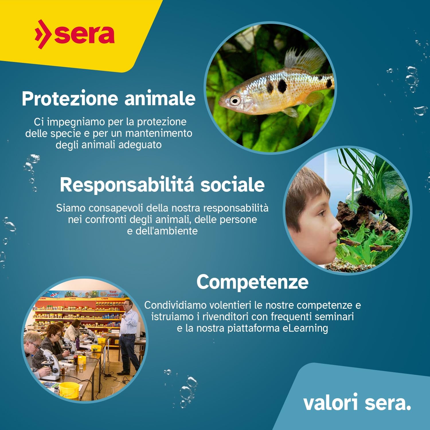 Sera GH Test 15ml | per aquario e laghetto | Misura Durezza Totale (Calcio & Magnesio) | Kit Analisi Acqua con Cuvetta, Siringa, Scheda di Valutazione | Precisione Fino a 420 °DGH per Pesci