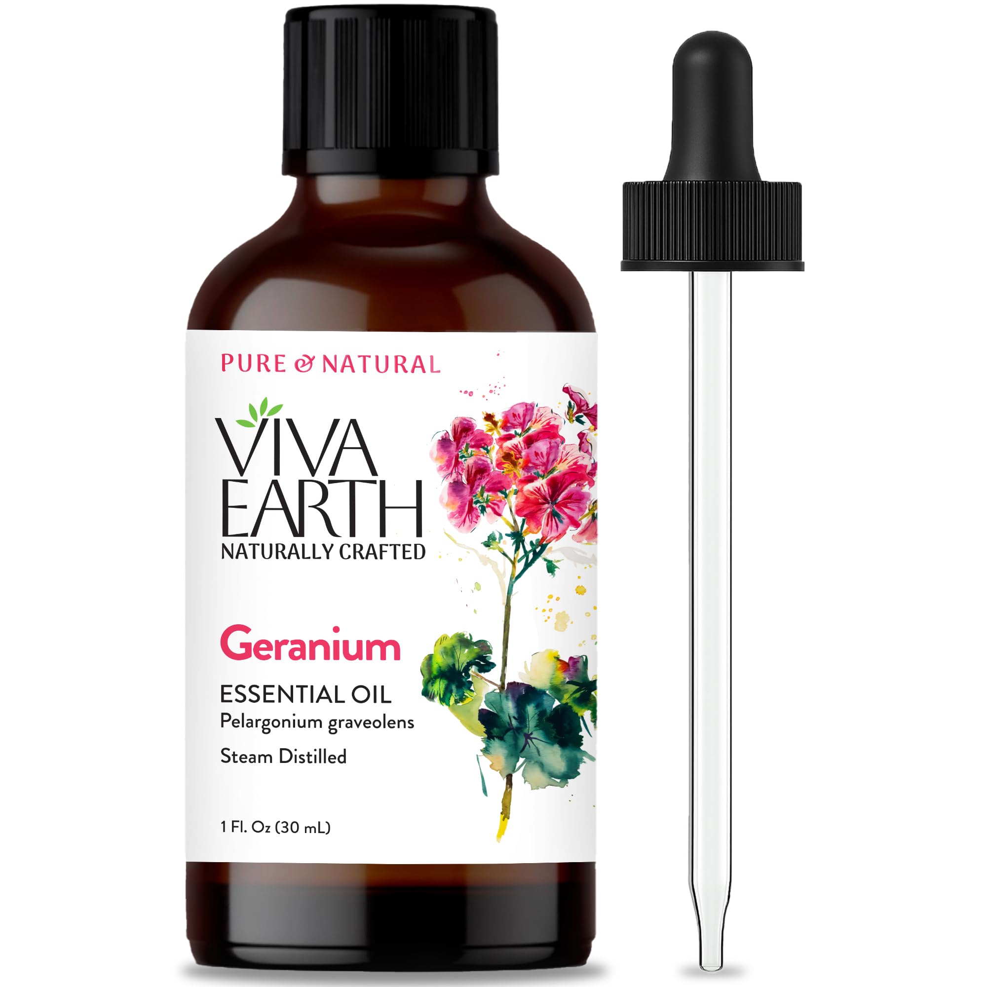 Geranium Essential Oil – Steam Distilled, 100% Pure & Natural Rose Geranium Essential Oil for Skin, Hair, Long-Lasting Floral Aroma, Aromatherapy, DIY Beauty, Soap & Candle Making, 1 fl oz