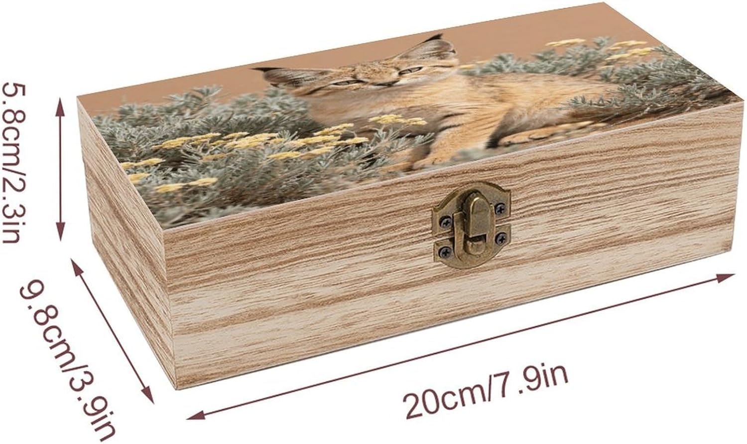 Sand Cat in Camelthorn Wooden Storage Box Vintage Jewelry Box image 2
