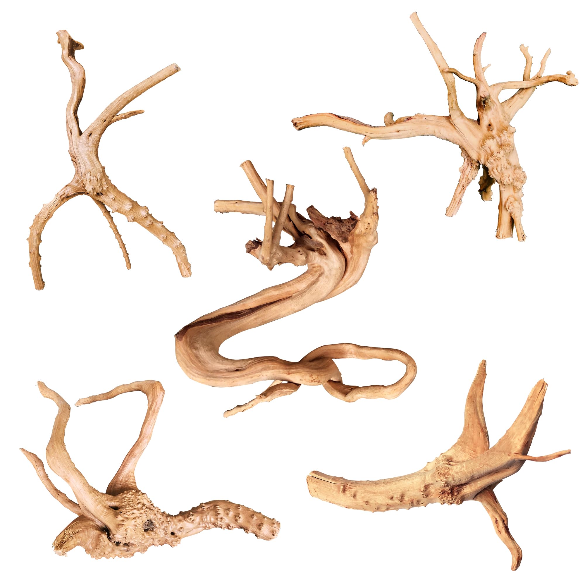 majoywoo Natural Driftwood for Aquarium Decor Fish Tank Decorations, Assorted Spider Wood Branch 4-8" 5 Pcs, Reptile Decor
