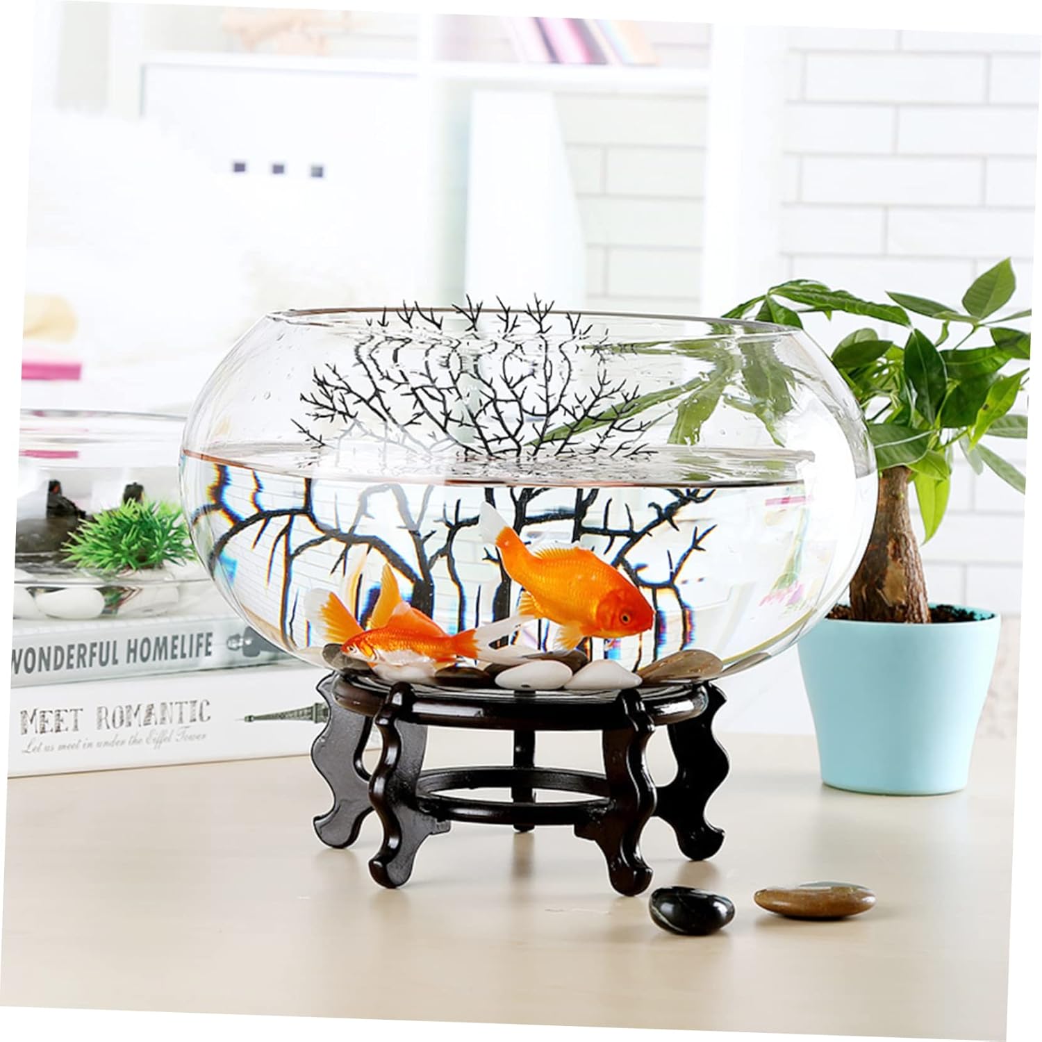 PRETYZOOM 2pcs Glass Succulent Plant Container Plant Terrarium Terrarium Aquarium Decorative Goldfish Bowl Desk Table Glass Flowerpot