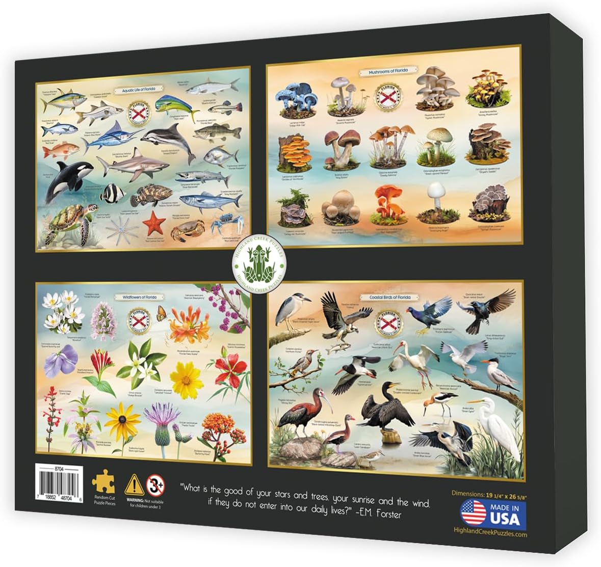 Native Birds of Florida 1000 Piece Jigsaw Puzzle - Made in USA
