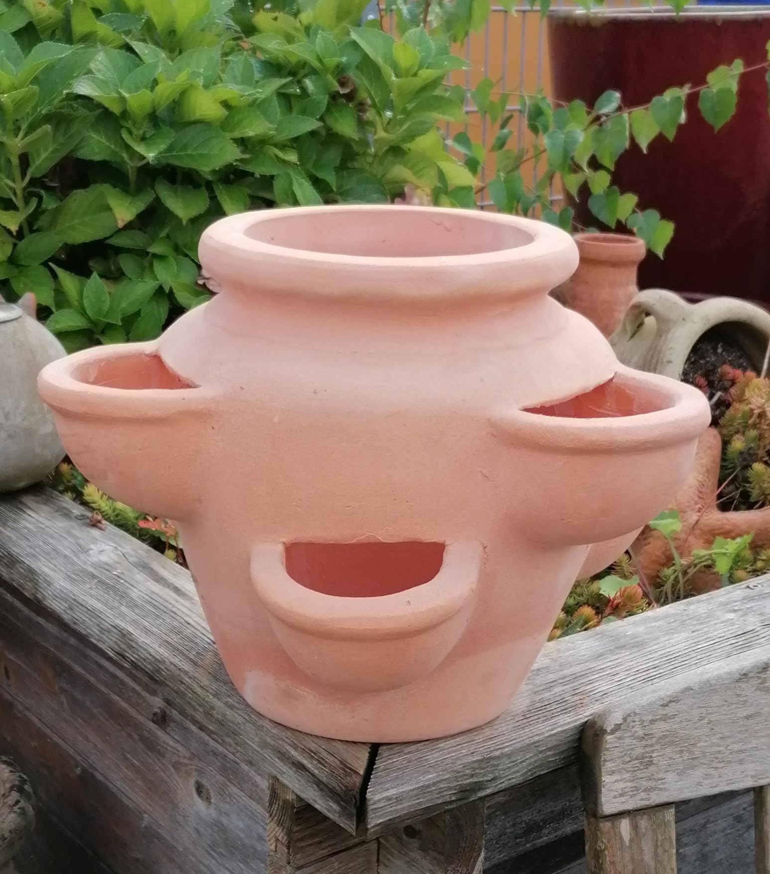 Charmanter Bienen-Blumentopf Aus Terrakotta - Süßer Hingucker Für Fensterbank & Zimmerpflanzen (11x8.5 Cm)