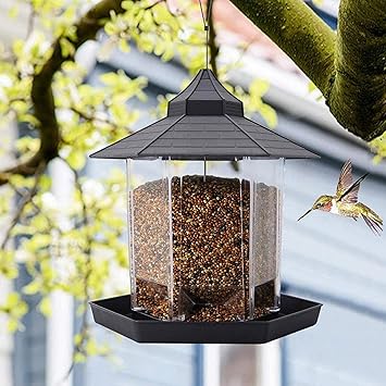Amazon Co Jp 野鳥 給餌器 Chilbrisad バード フィーダー エサの容量を簡単把握 広いフィードスペース エサを設置可能 バードフィーダー バードウォッチング 野鳥の餌台 鳥小屋 鳥かご 庭 ガーデン おしゃれ 野鳥 給餌器 餌台 餌場 えさ台 吊下げグリーン 野鳥 用 給餌