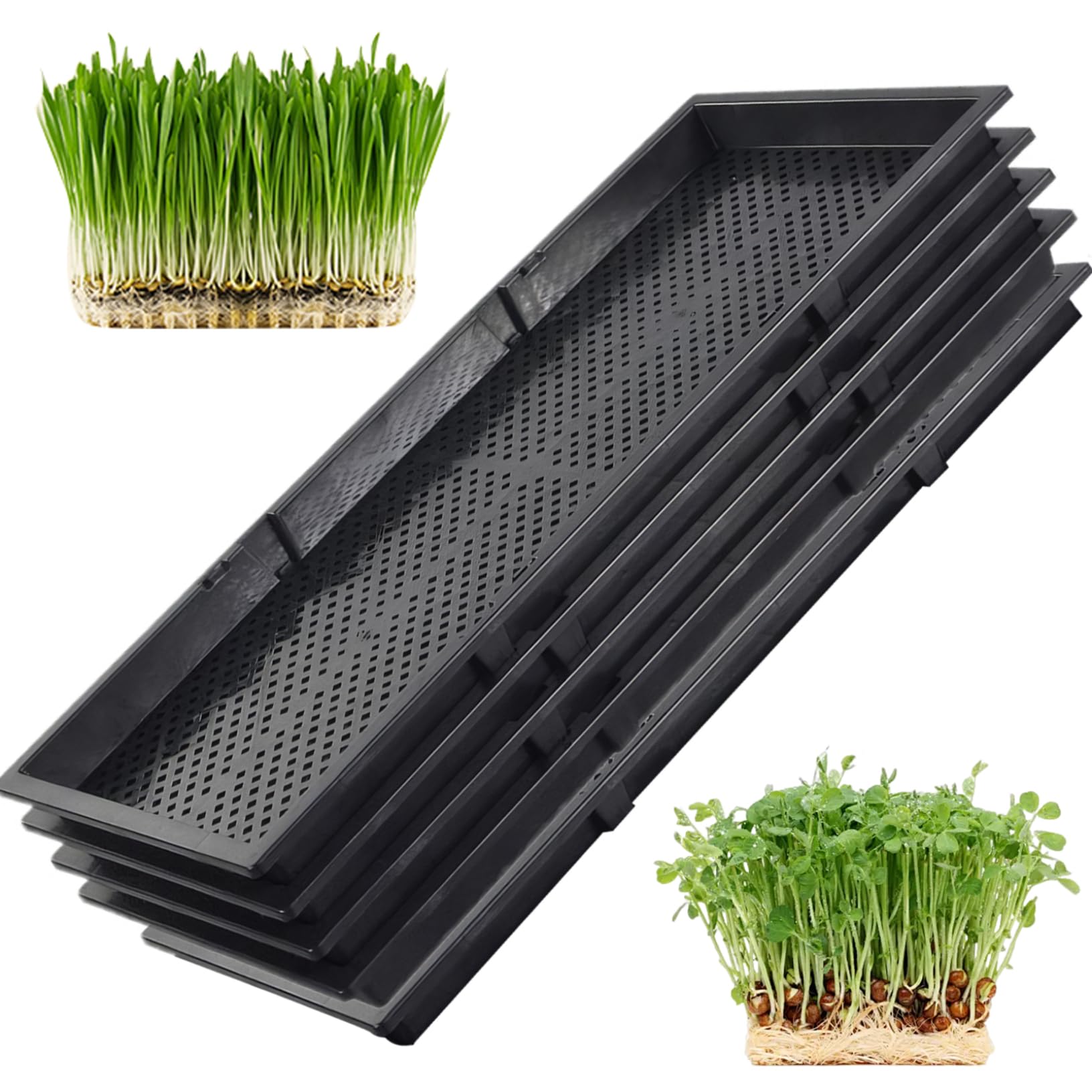 Plateau de démarrage de graines 5 pièces 22x9, 5, Plateau semis avec Fond en Maille en polypropylène, Plante réutilisable pour semis, Jardinage d'intérieur, microgreens