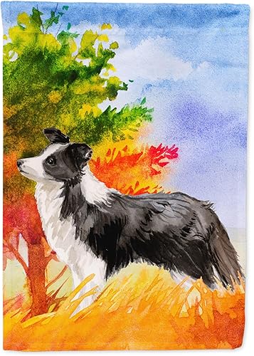 Caroline's Treasures CK1955GF - Bandera de jardín con borde de otoño Collie para buzón, bandera decorativa para patio exterior, obras de arte de