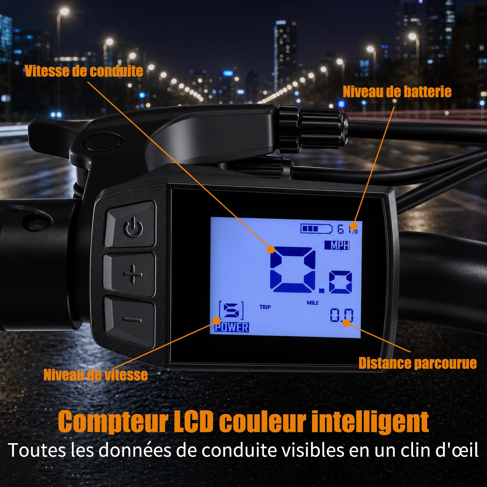 Vélo électrique 20F063, vélo électrique de 20" avec moteur de 250 W, batterie 48 V 11,6 Ah, dérailleur à 7 vitesses, écran LCD, portée jusqu'à 80 km