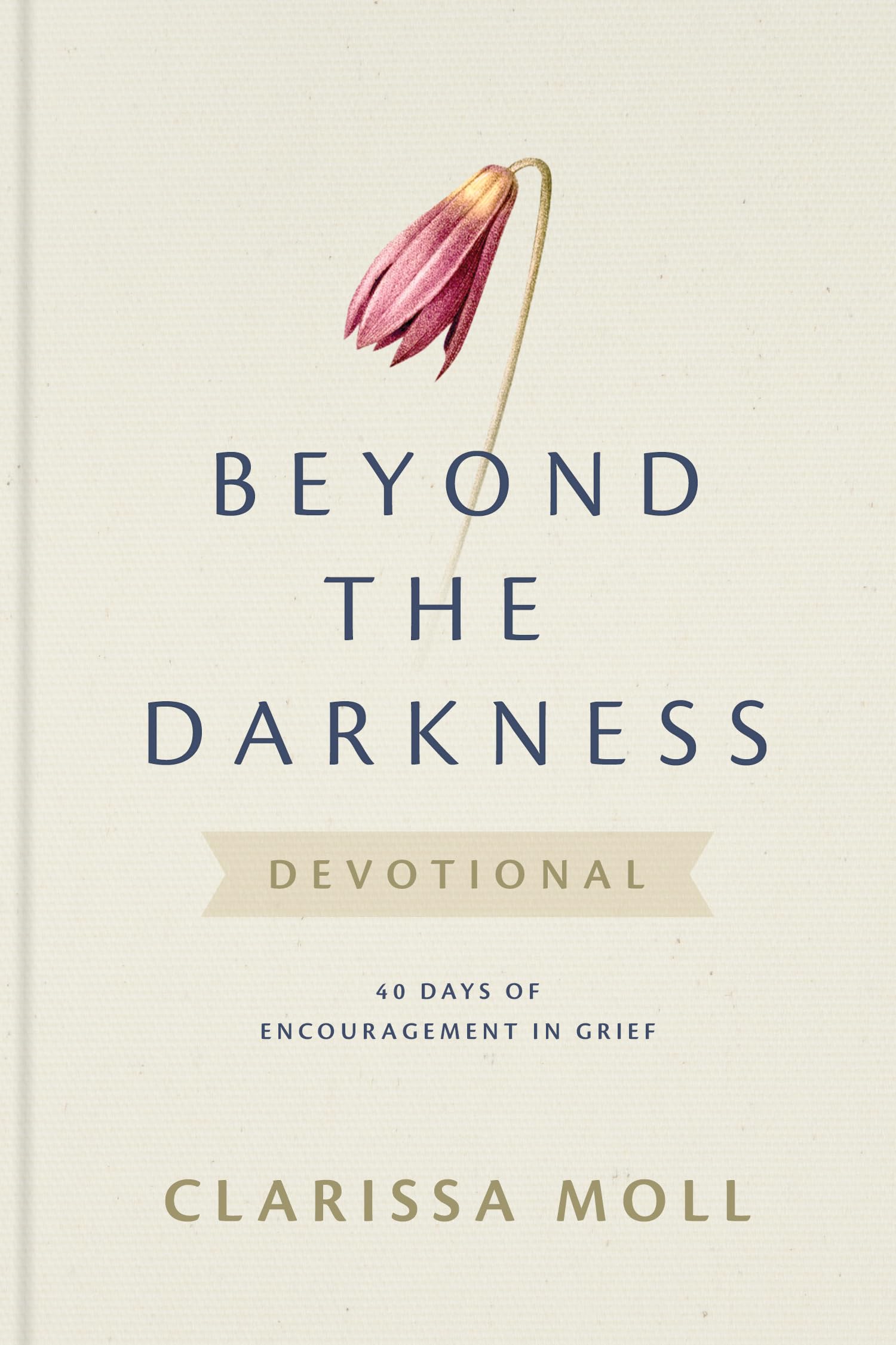 Beyond The Darkness Devotional: 40 Days of Encouragement in Grief