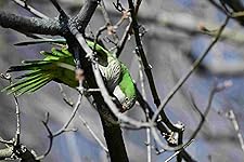 Review Image by J. M. Cote J. M. Cote