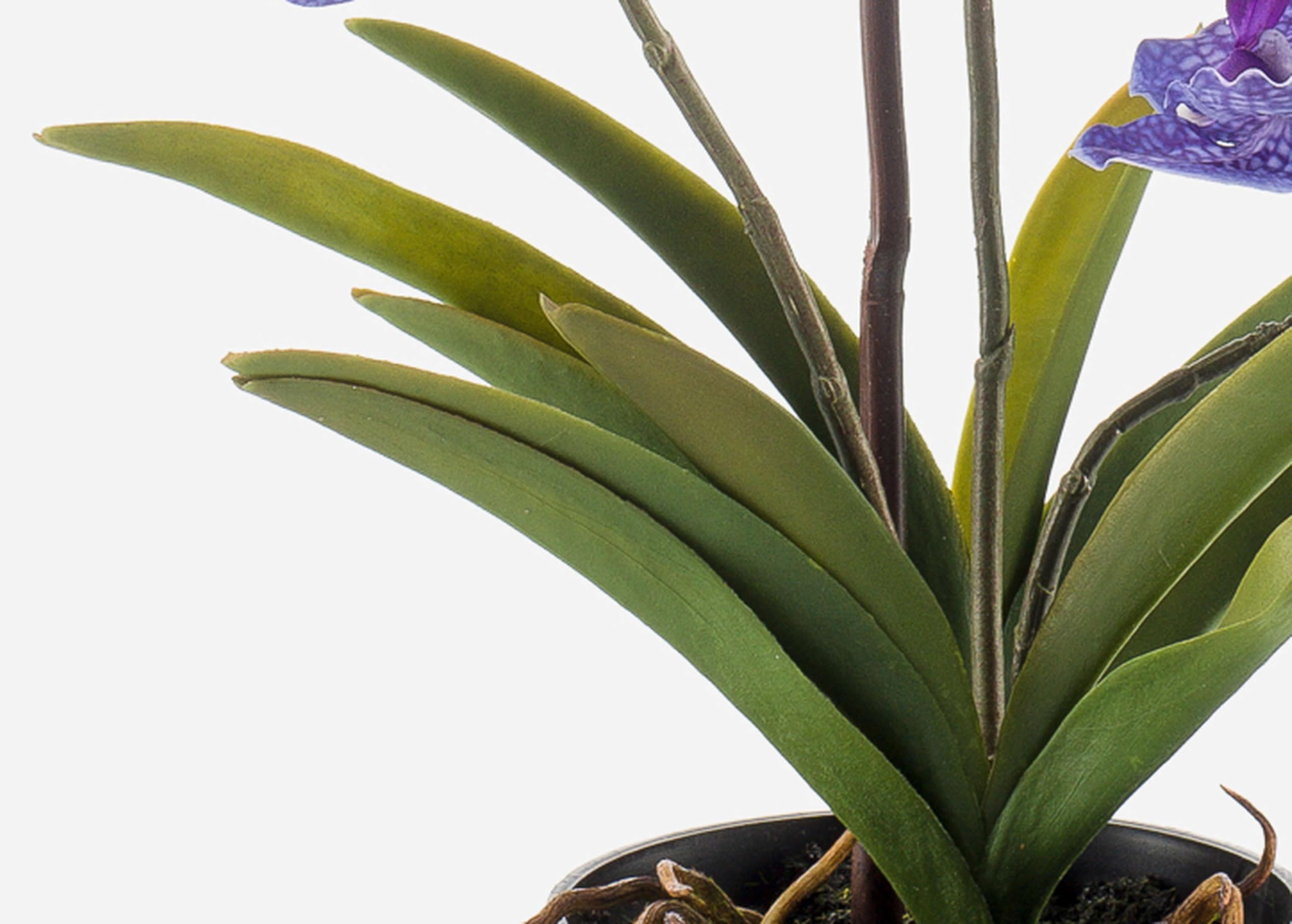 artplants.de Fleur Artificielle Orchidée Vanda Campo, Violet, 60cm