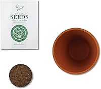 Vista 3 de BUZZY Seeds Radiant Collection 12-Pack – All-in-One Mini Terracotta Seed Starter Kit for Herbs, Succulents, and Trees, Includes Aloe, Christmas