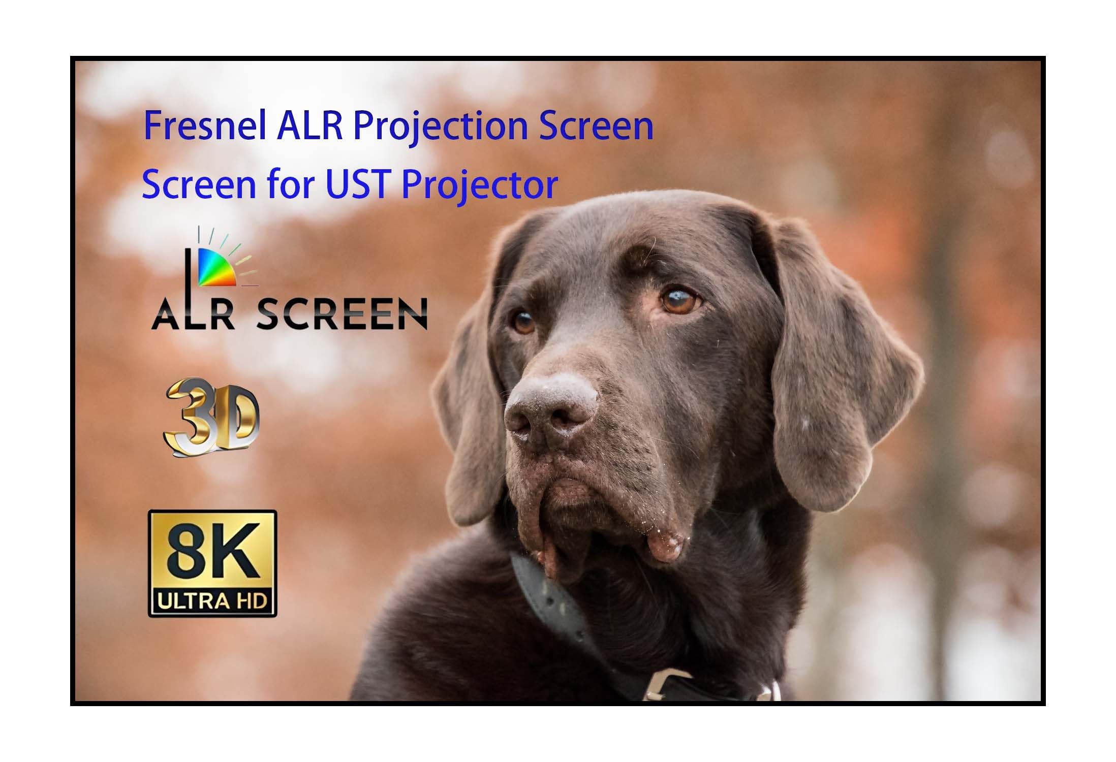 ALR Screen for UST Projector, 120 inch Fresnel ALR Fixed Frame Projector Screen Wall Mount 16:9 8K/4K 3D, Gray Projection Screen and 0.39 inch Ultra-Narrow Bezel for Movies and Games