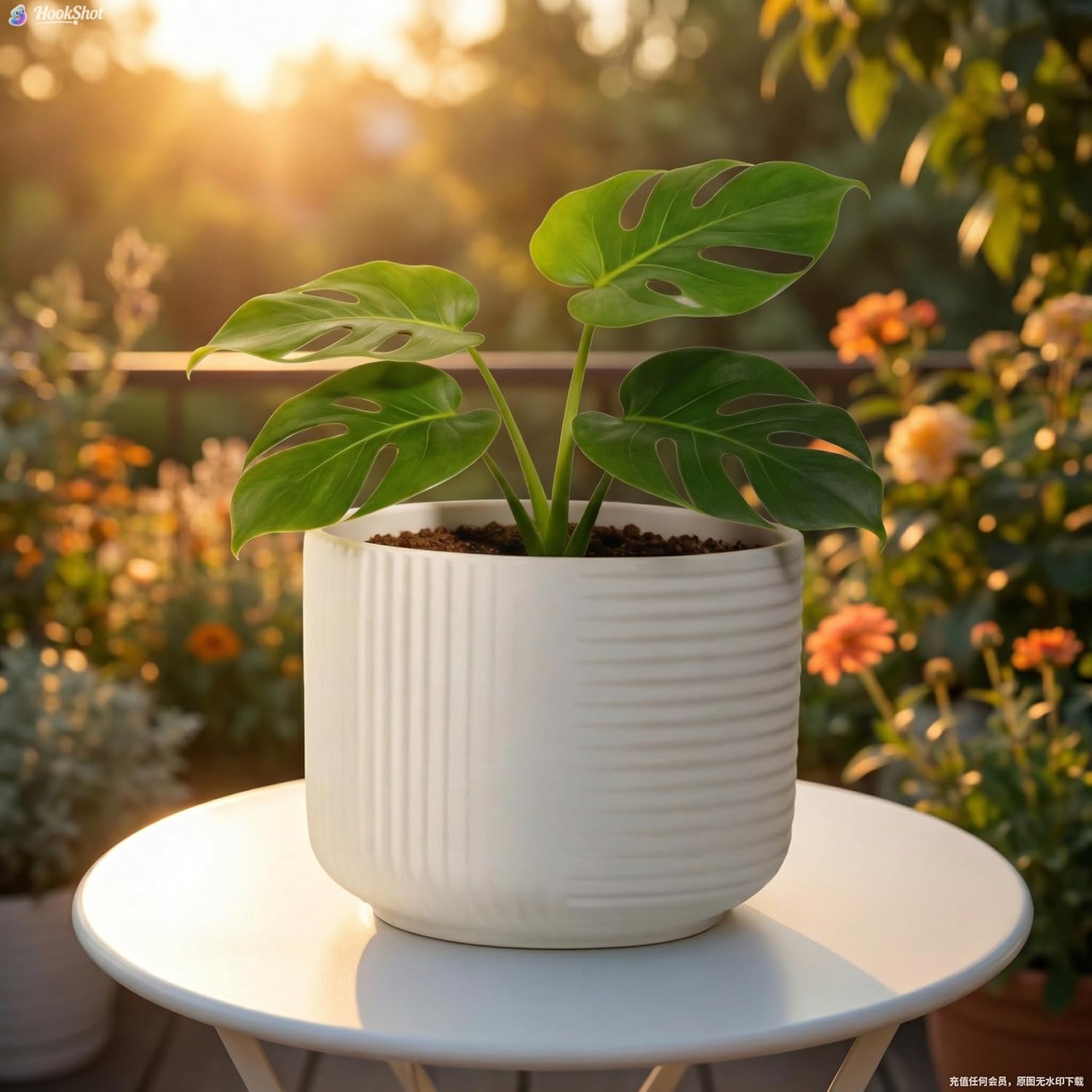 Ceramic Plant Pots with Drainage Holes 9" - Creamy White Planters for Indoor Outdoor Plants - L (Large-9“)